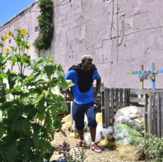 All Gardens Are Not Created Equal