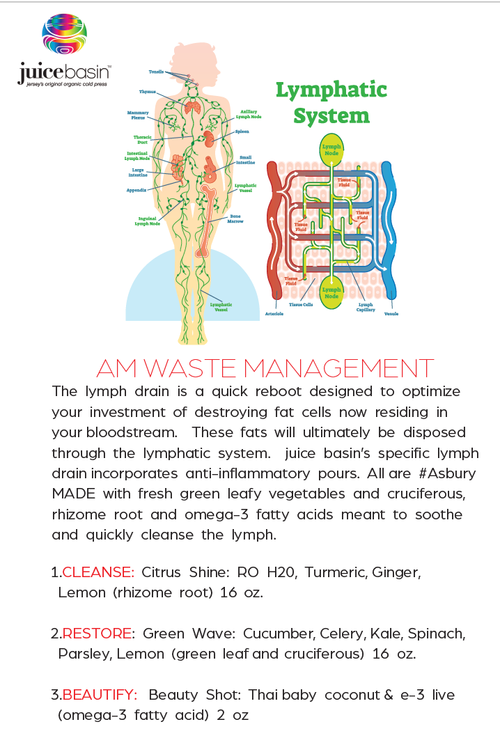 Quick Juice Cleanse Reset - Lymphatic System
